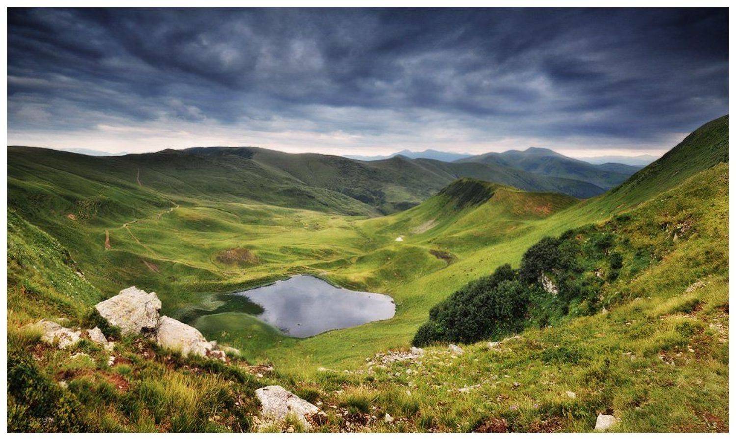 , Денис Кривой