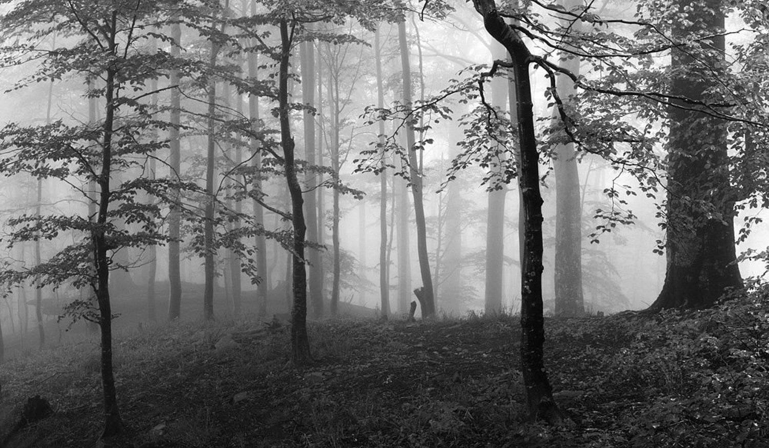 карпаты, боржава, Александр Ящук