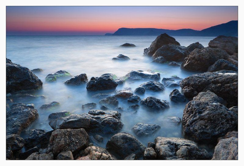 крым, инжир  фото превью