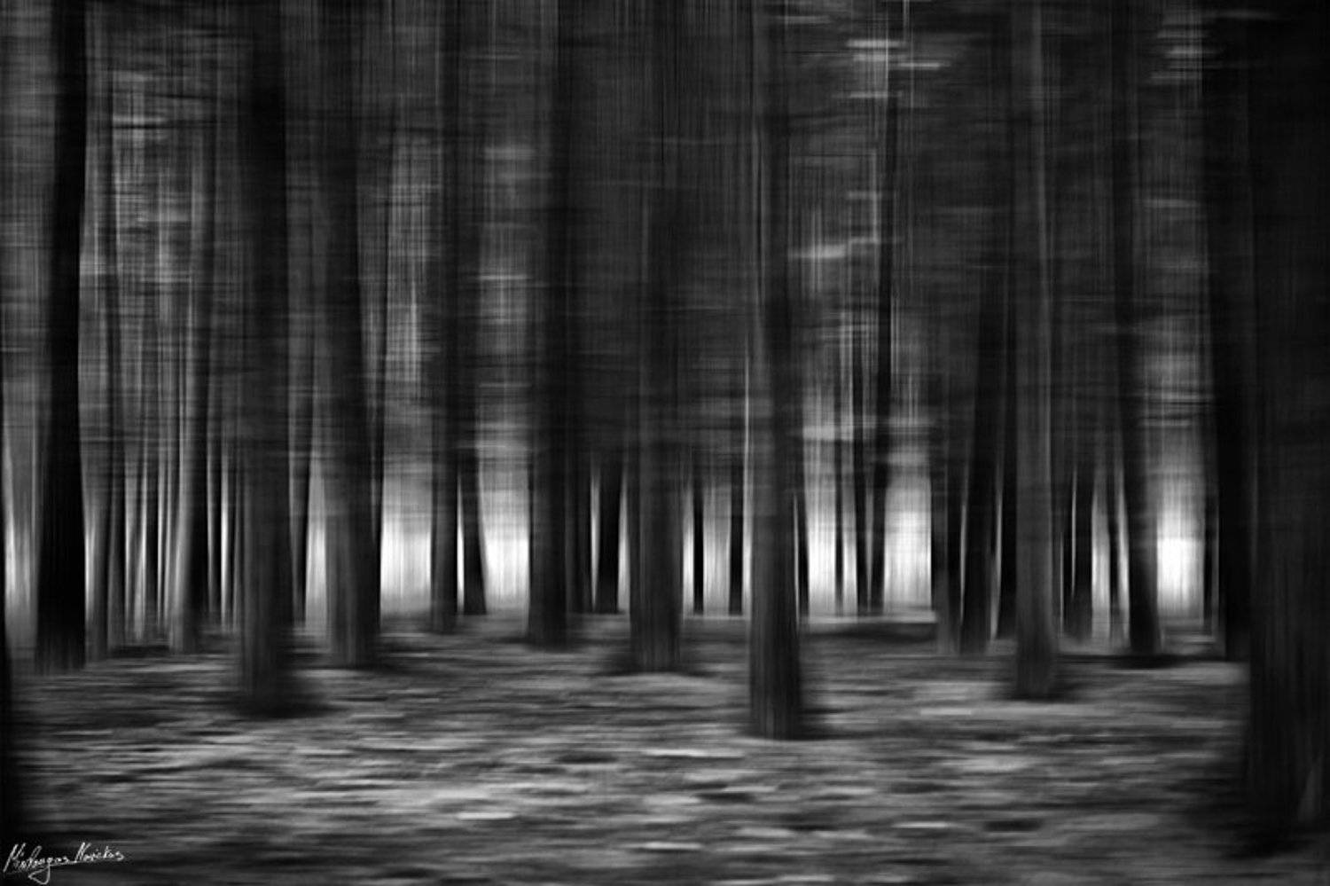 , Mindaugas Navickas