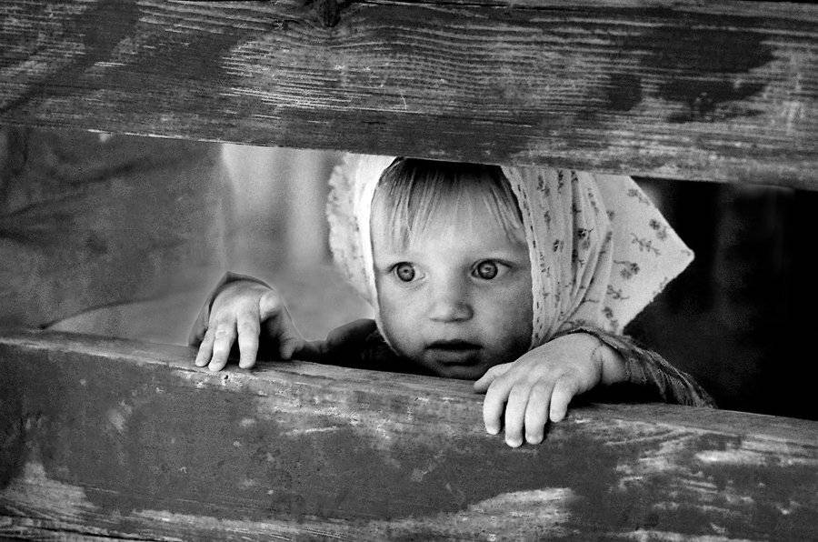 , Николай Морский