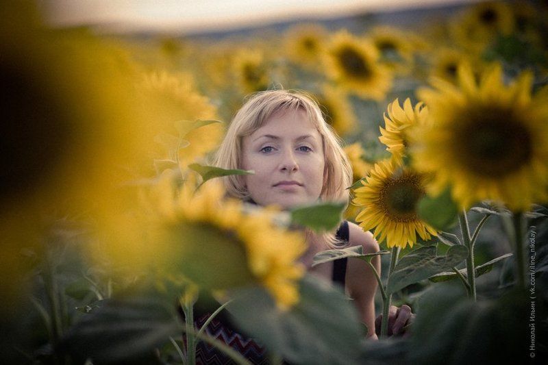 подсолнухи, поле, природа, портрет, девушка  фото превью