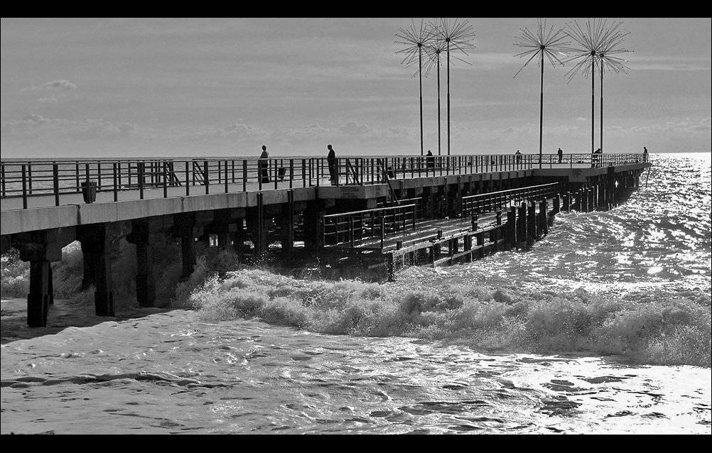 адлер, Тарасов Алексей