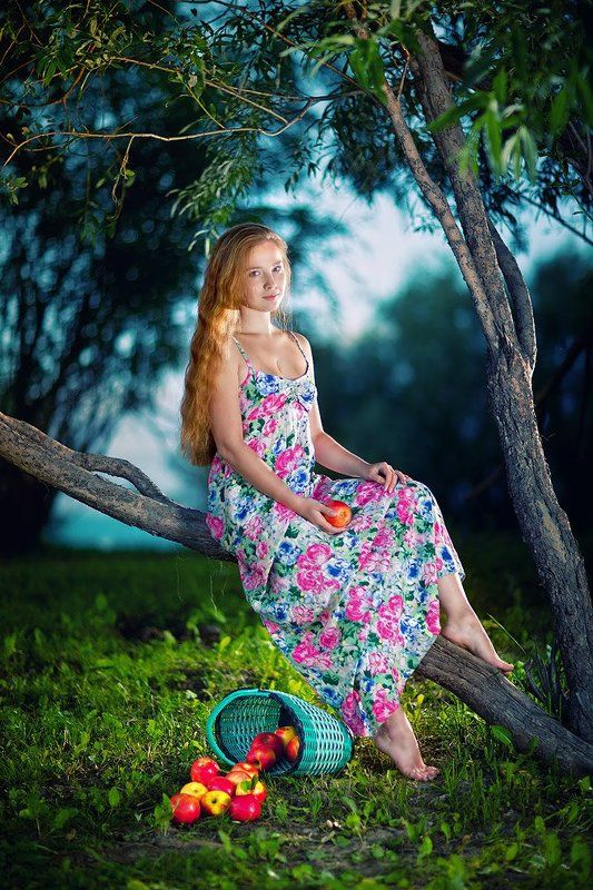 яблочки  фото превью