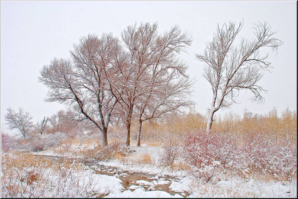 природа, казахстана, юг, Геннадий Меремьянин