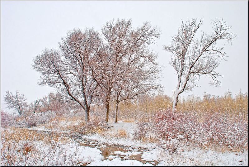 природа, казахстана, юг  фото превью