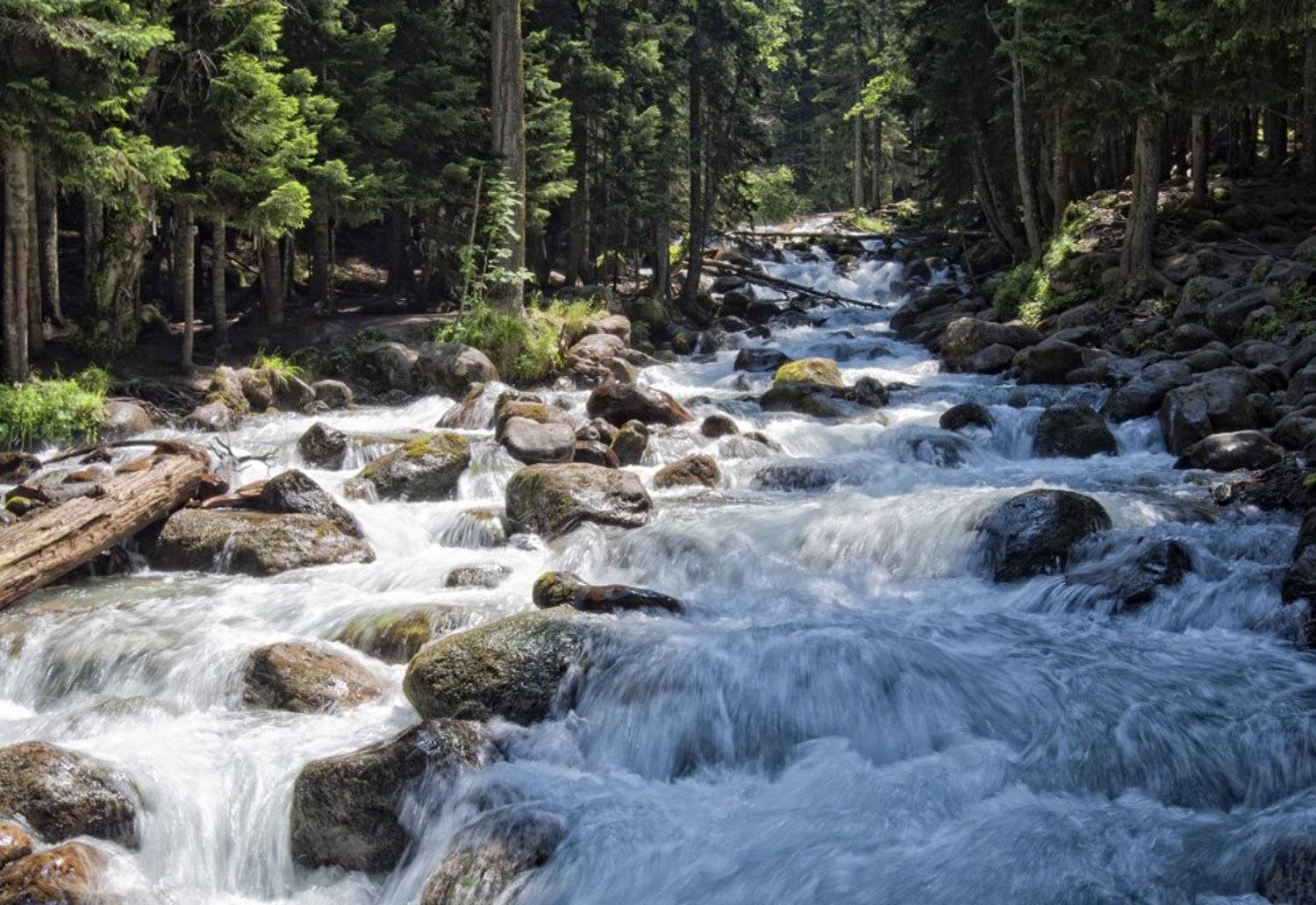 архыз, Александр Свиркин