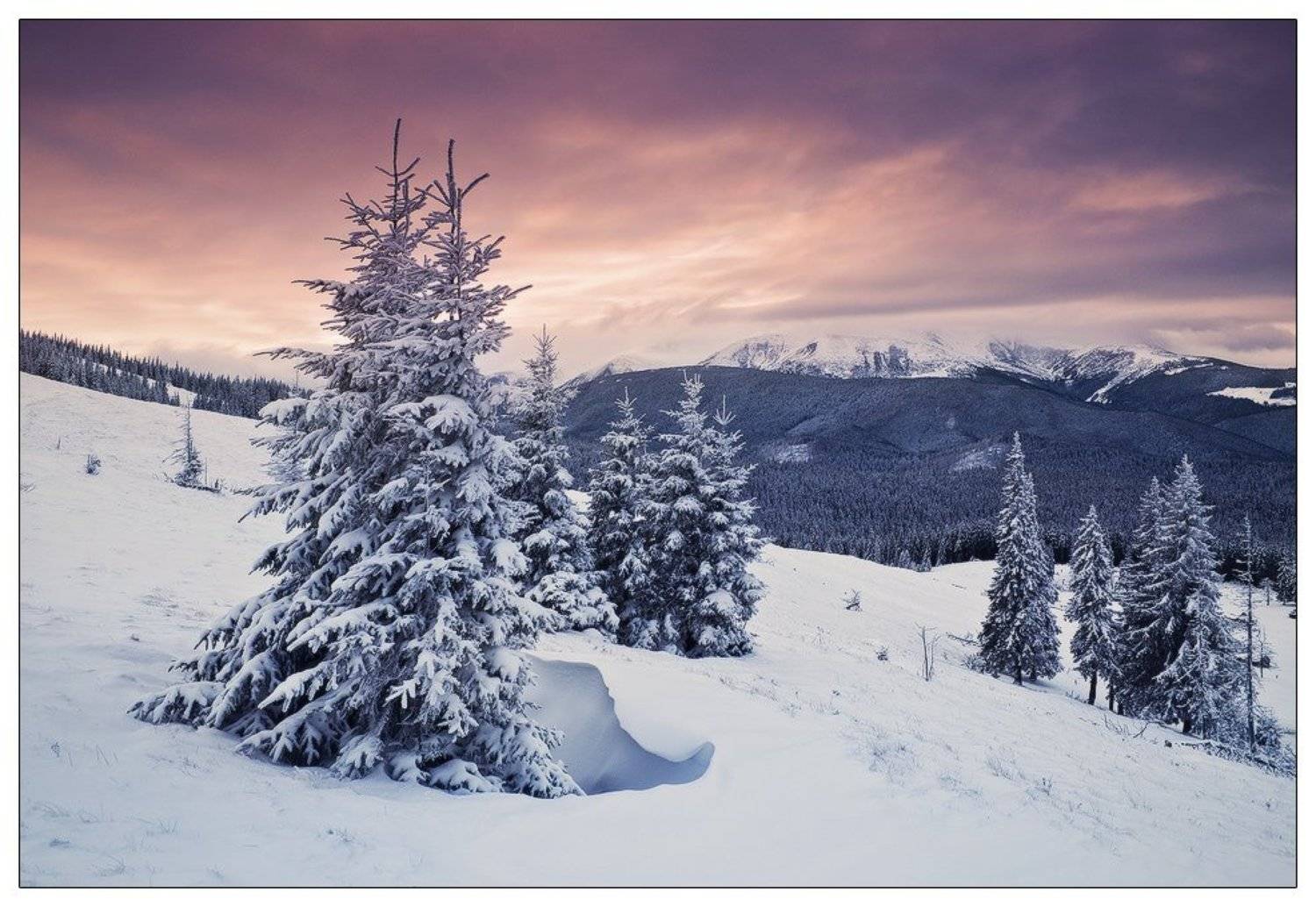 , Денис Кривой