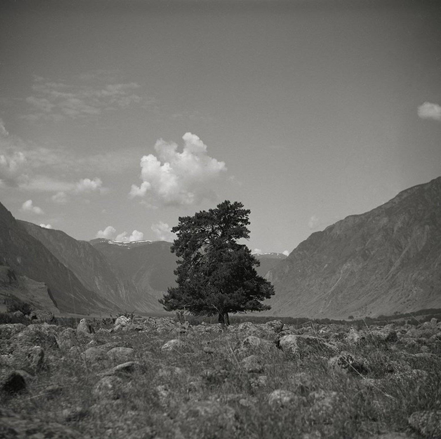 lomo, altay, lubitel, Илья Долгов