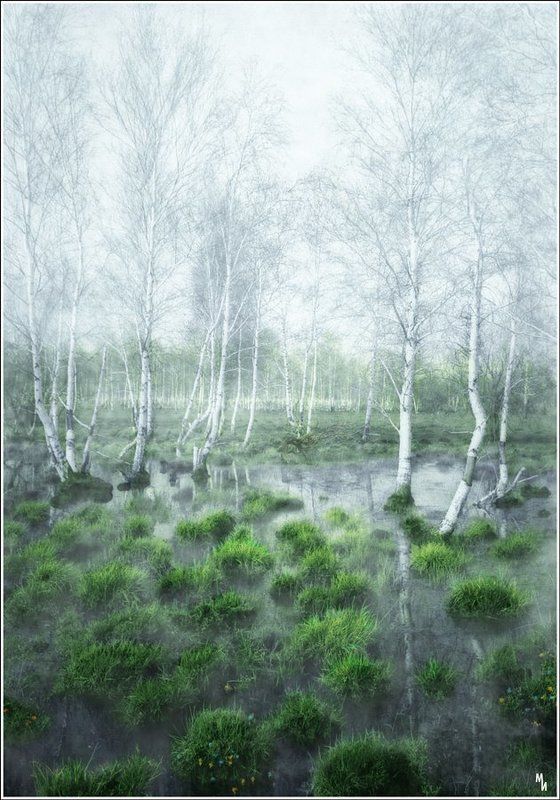 Весна фото превью