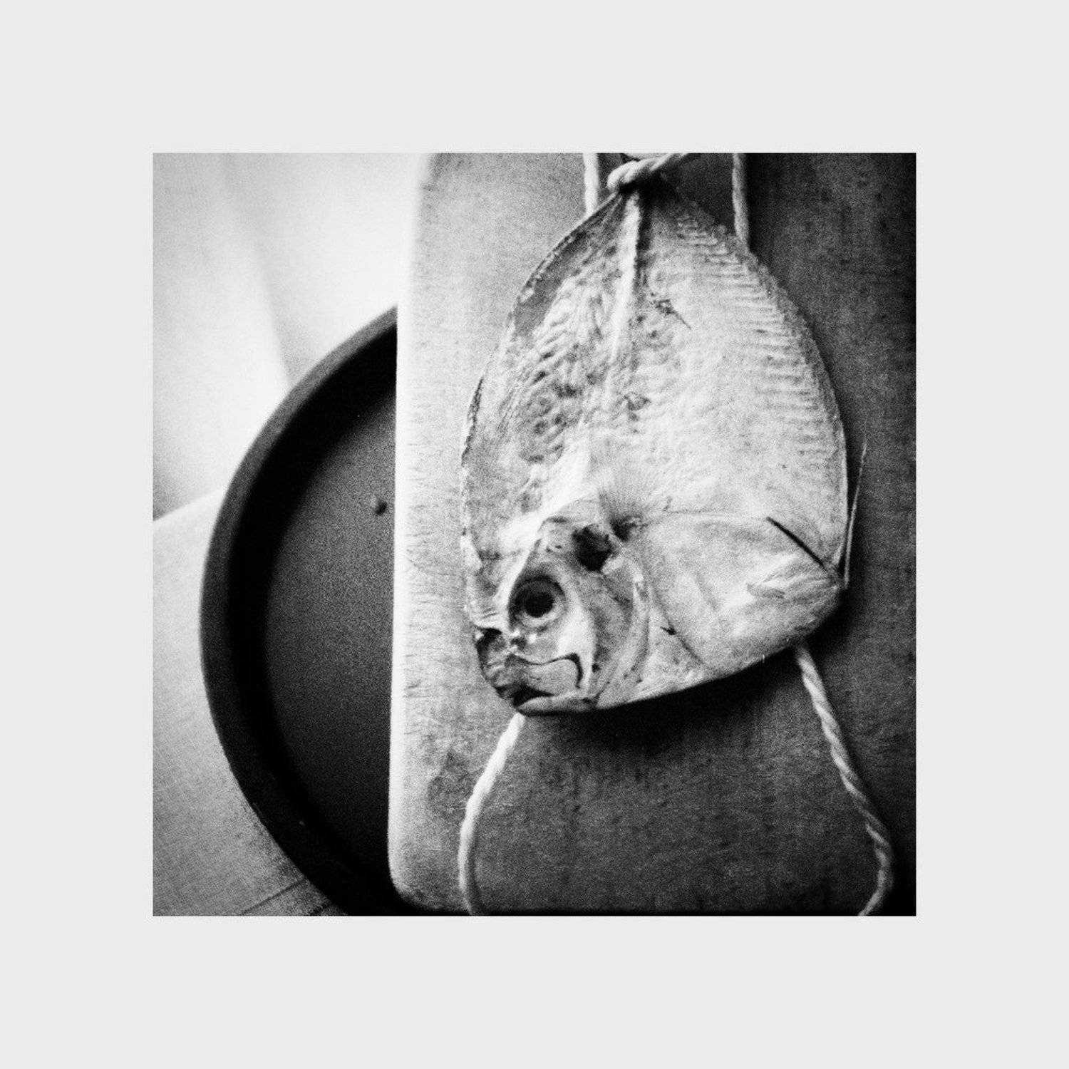 , Игорь Филипенко