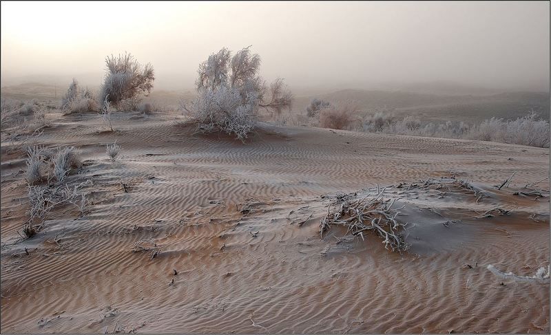 природа, пески, казахстан  фото превью