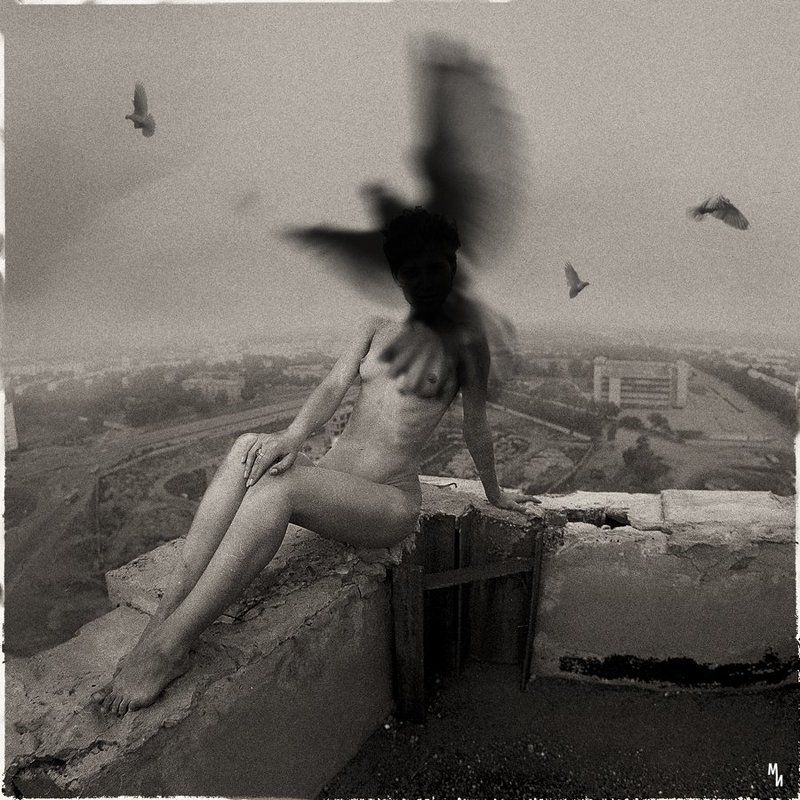 ч/б, негатив, пленка, 6х6 Если была бы птицей фото превью