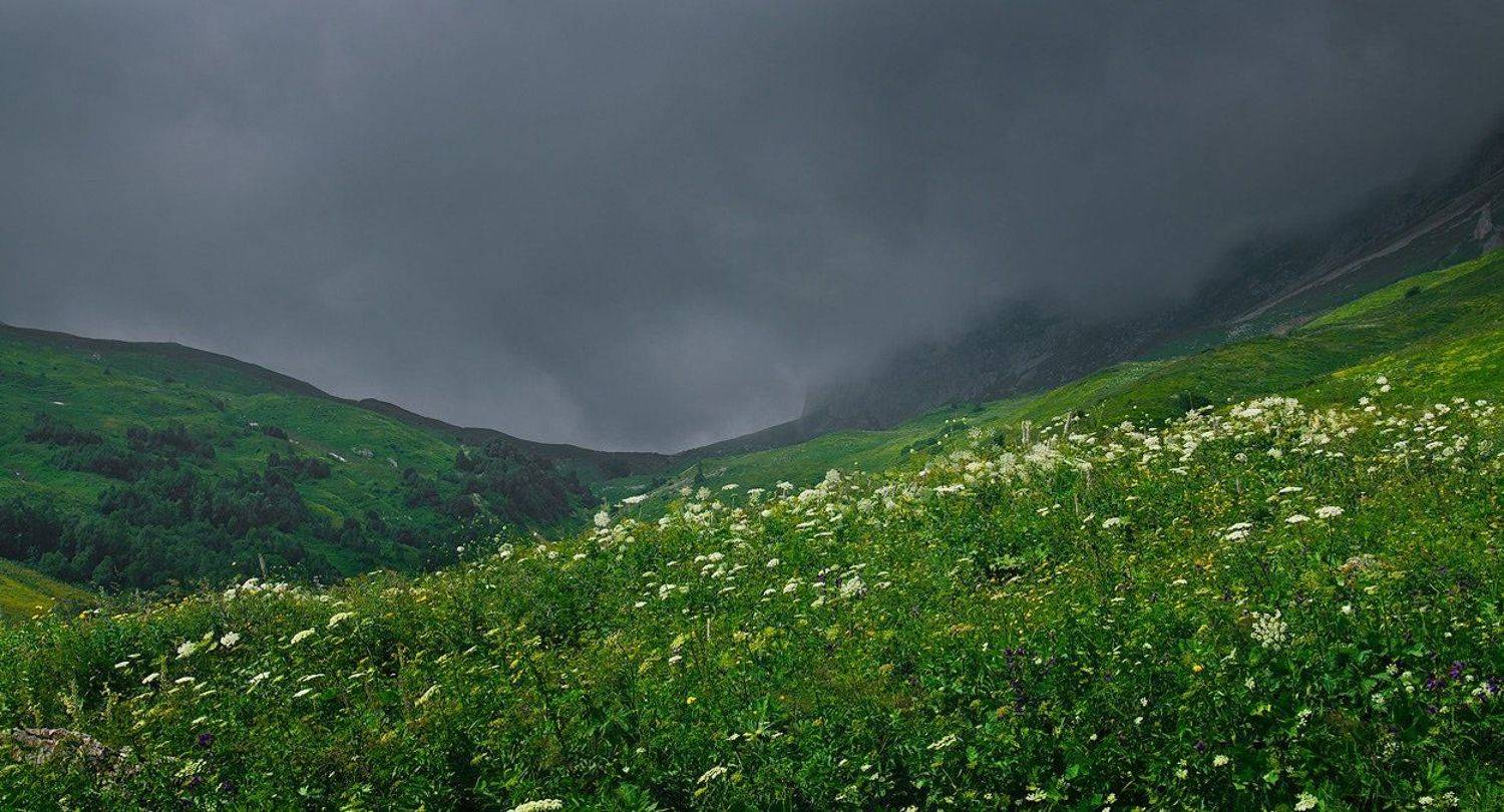 горы, тучи, трава, непогода, Олег