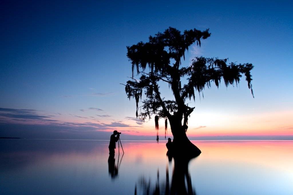 louisiana, lake, tree, swamps, cypress, Евгений Васенёв