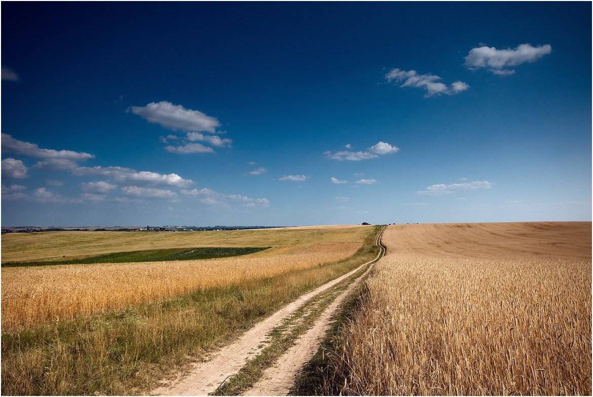 , Николай Шахманцир