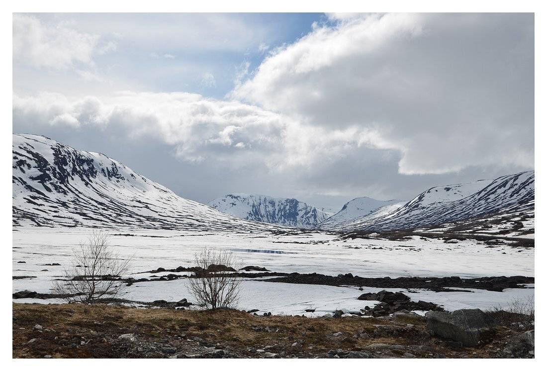 норвегия, norway, b.o.g.