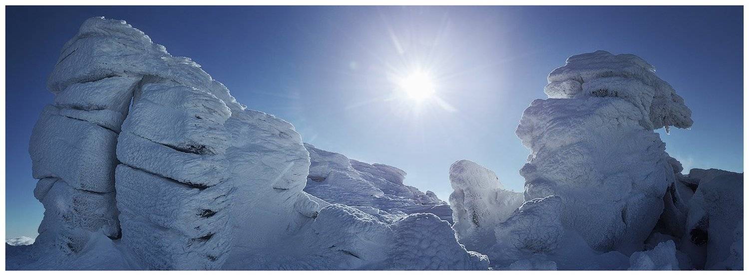 , Денис Кривой