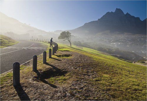 газонокосильщик