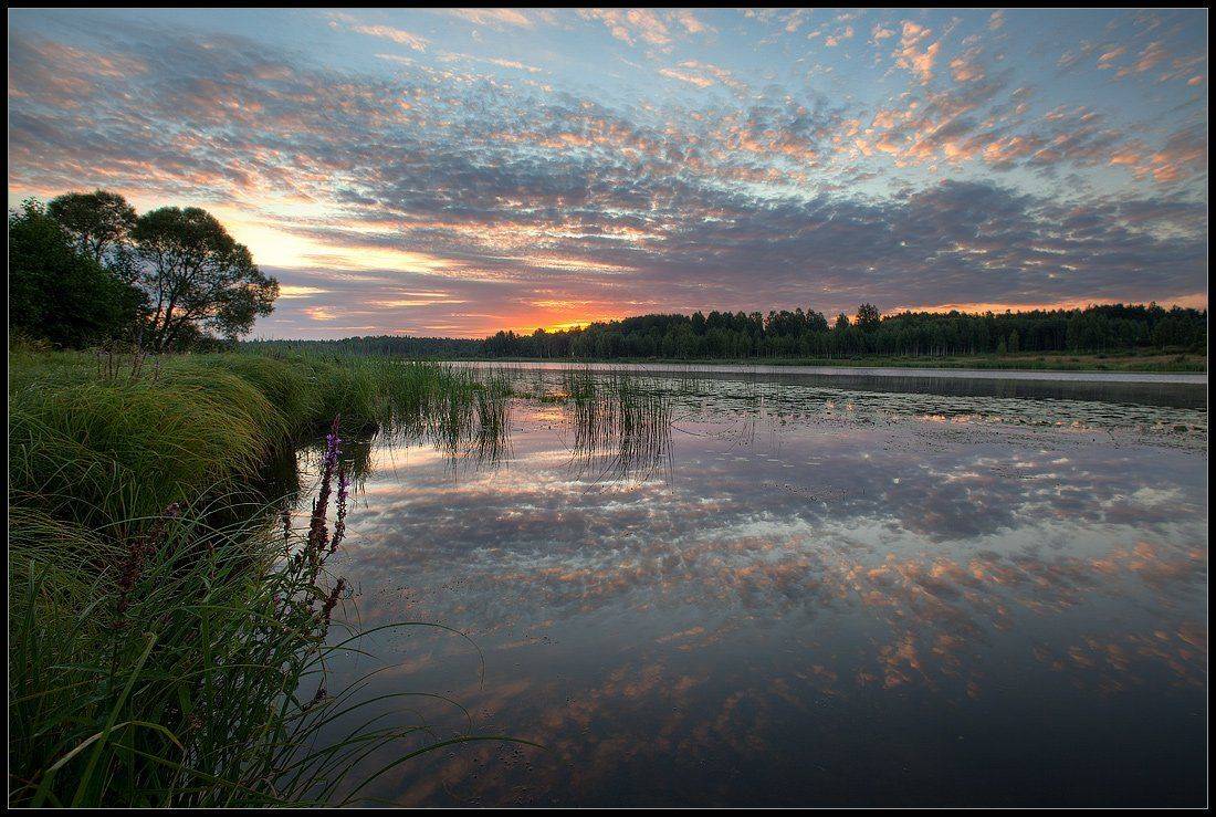 , Олег Козлов