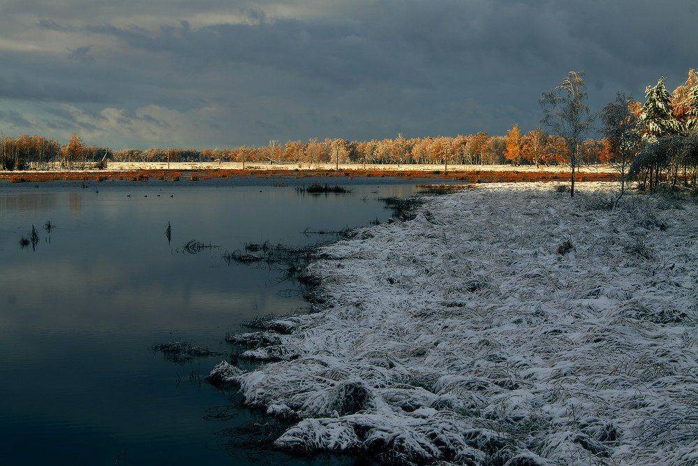 сентябрь, осень, снег, болото, Николай Морский