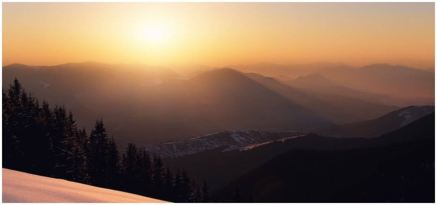 , Денис Кривой