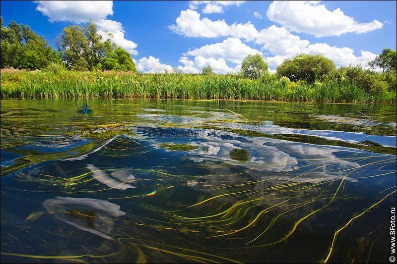 река, волна, лето, природа, пейзаж  фото превью