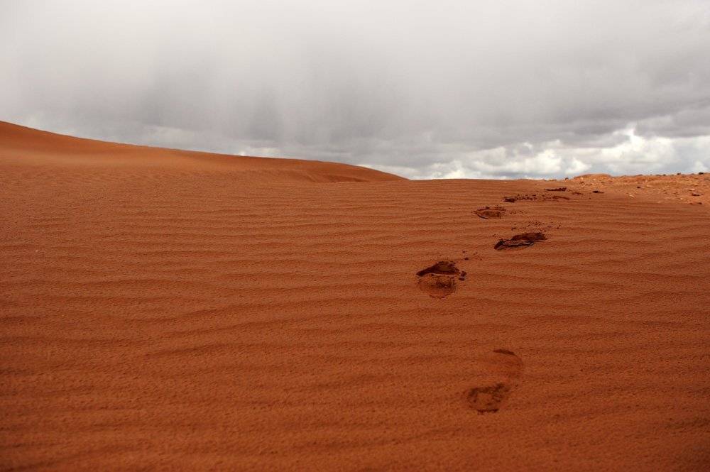 , Vladimir Krupenkin