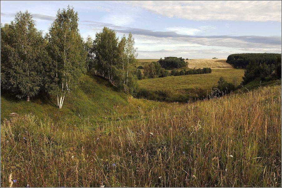 , Владимир Жданов