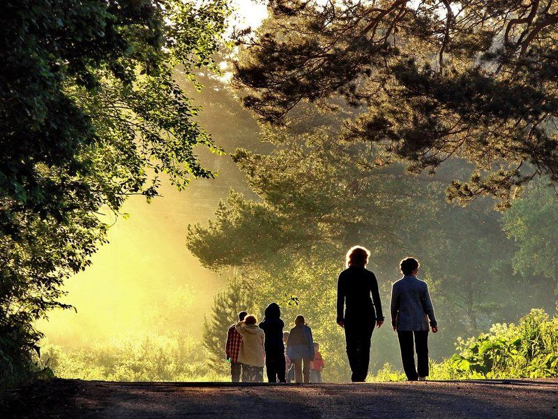 мыски, тайланд, туапсе, сибирь, природа, пейзажи, smilesday  фото превью