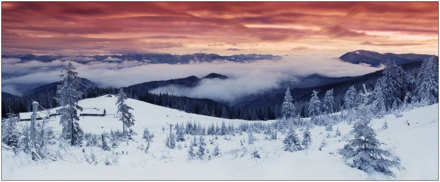 , Денис Кривой