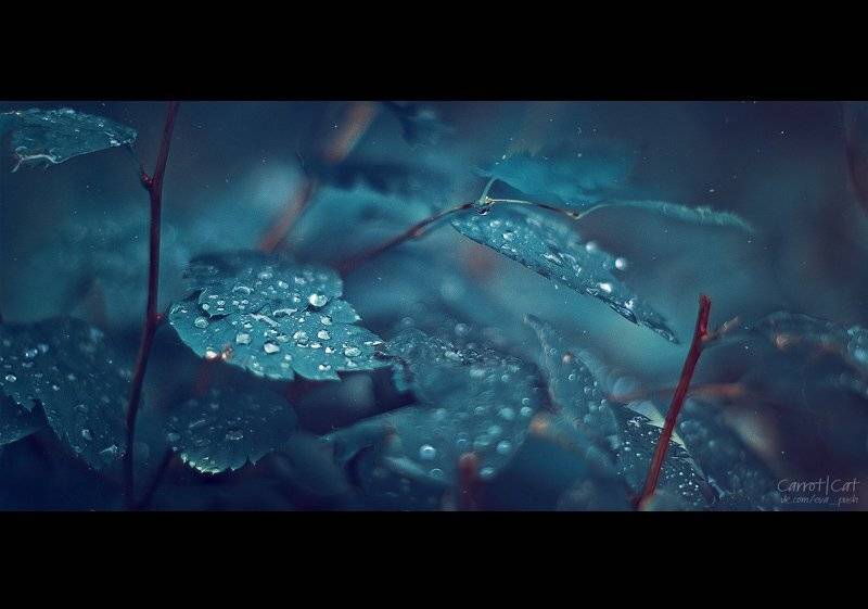 , Женя Белан