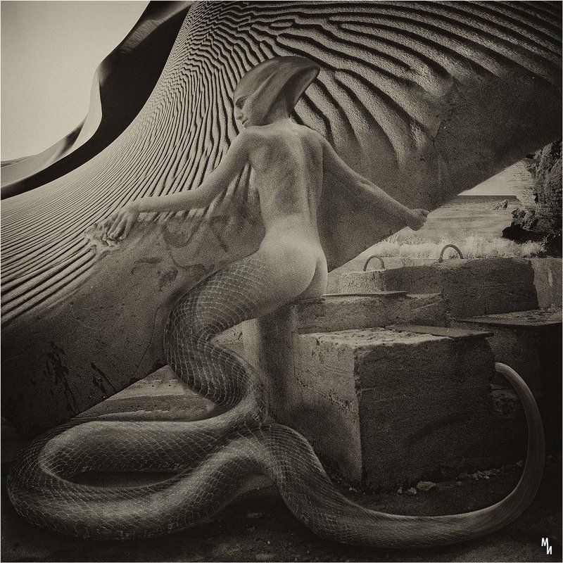 негатив, пленка, ч/б Ассоль фото превью