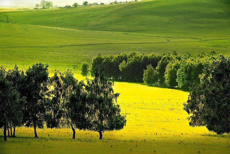 , Качурин Алексей