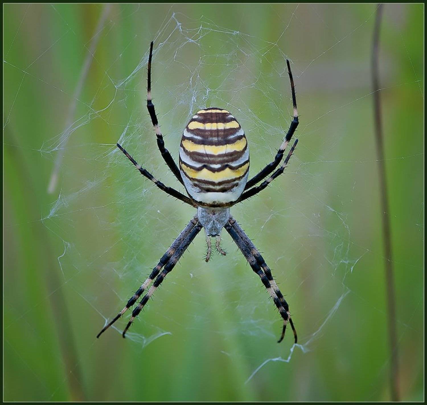 , Евгений Кирилкин.