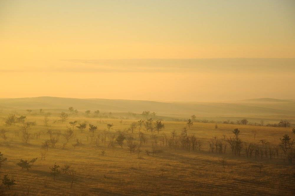 , Дeнис Бoдрoв