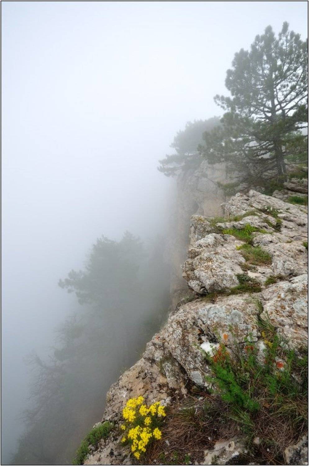 скалы, туман, Dmitry