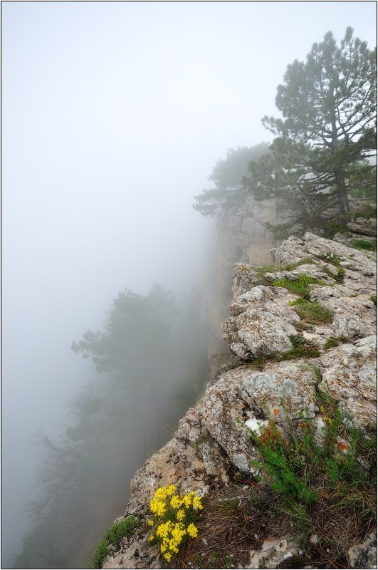 скалы, туман  фото превью