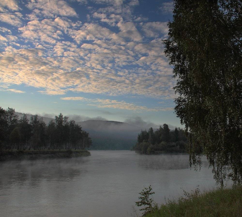 август, утро, туман, Николай Морский