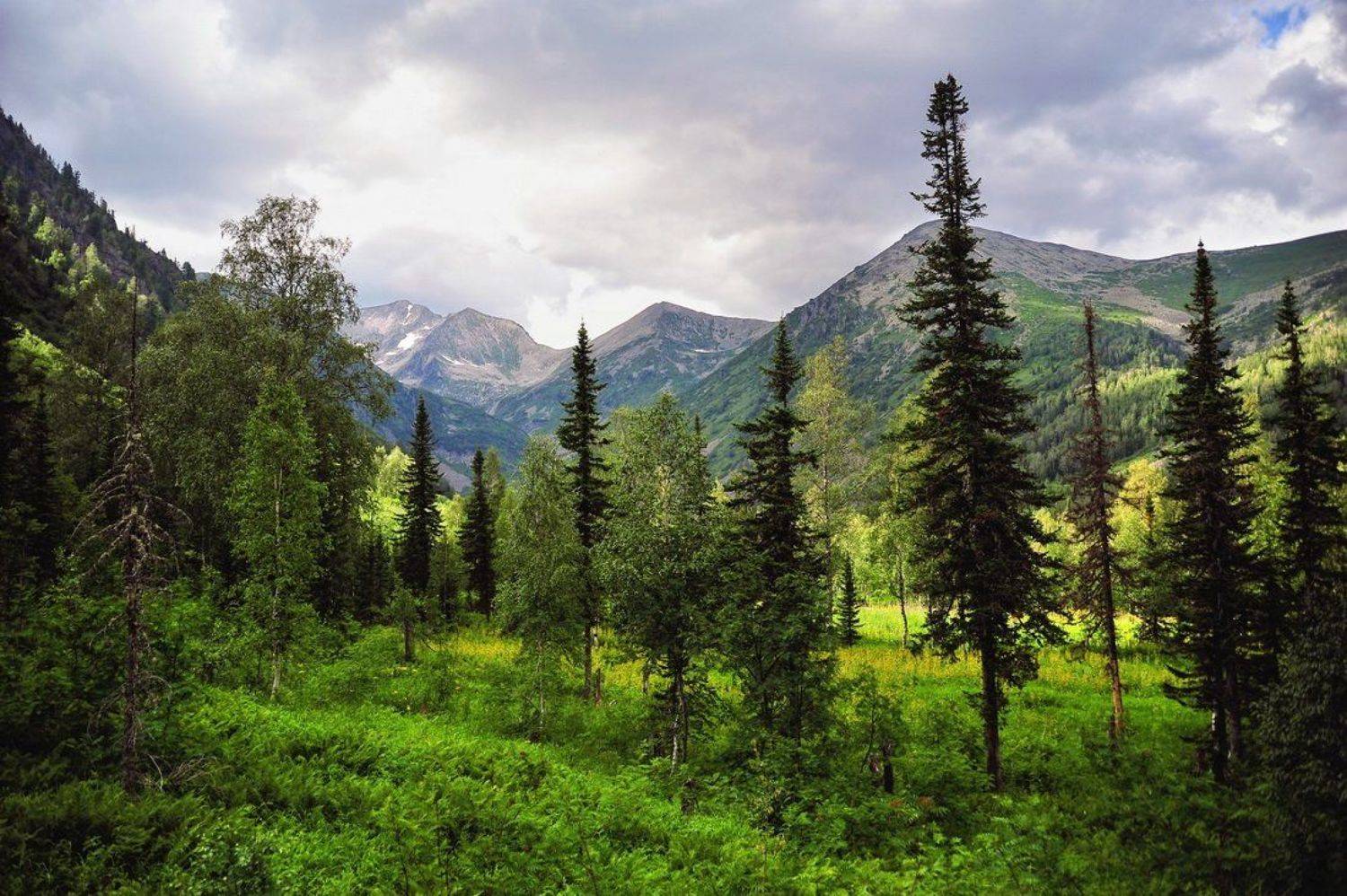 поднебесные зубья, хакасия, малашин григорий, красивый пейзаж, Григорий