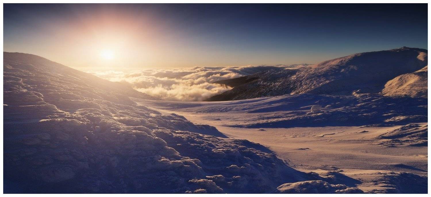 , Денис Кривой