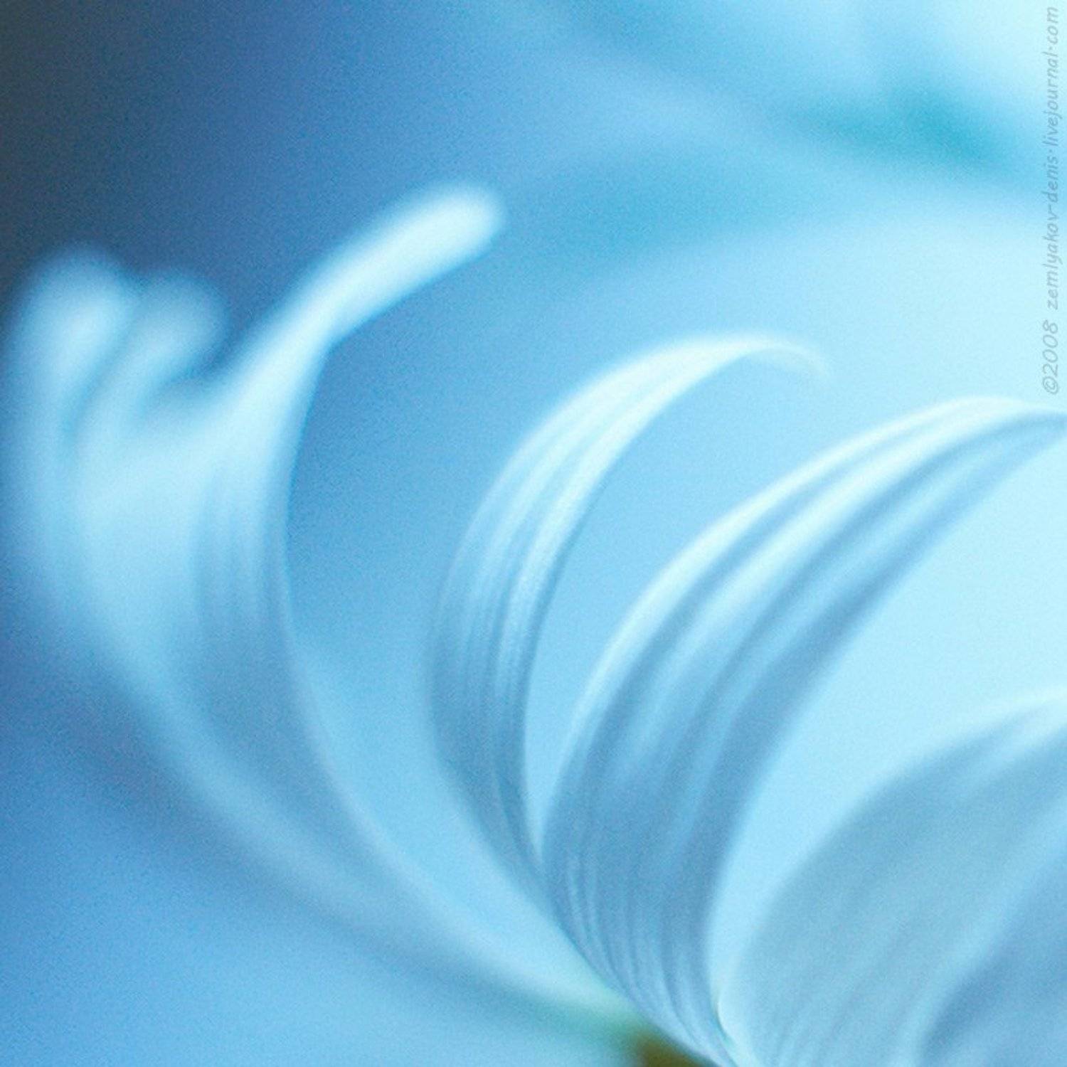 , Земляков Денис