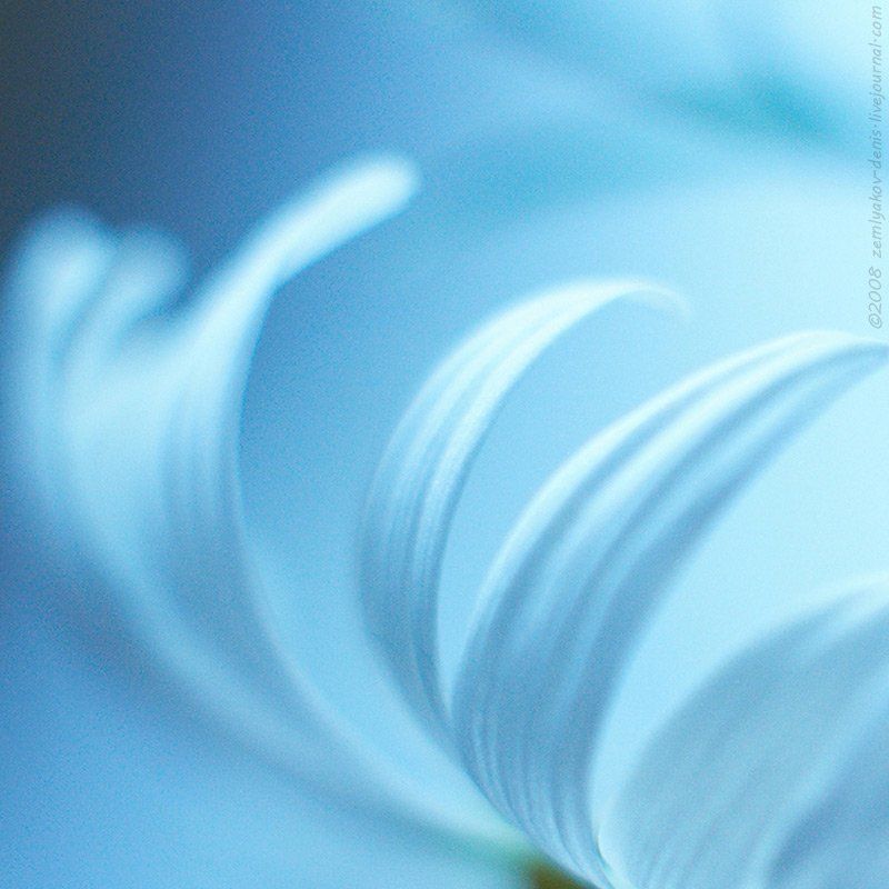 ...как реснички фото превью