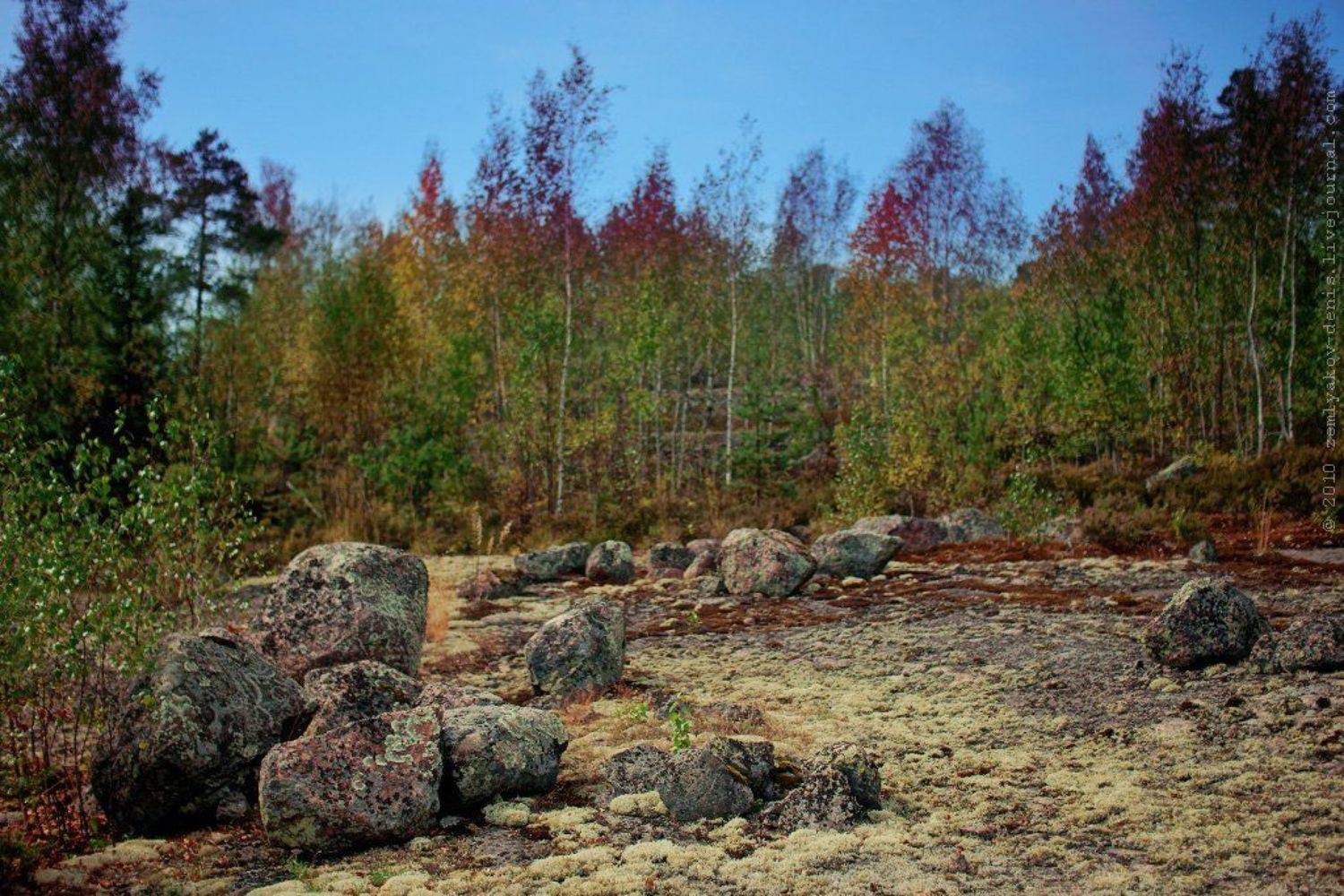 , Земляков Денис