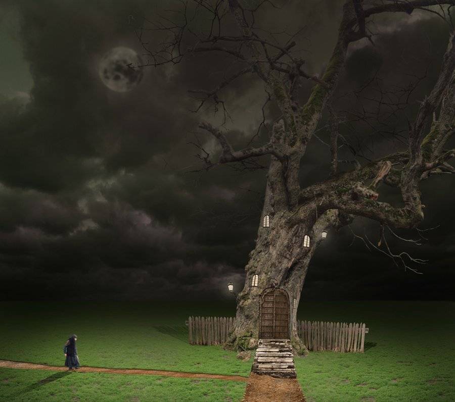 , Caras Ionut
