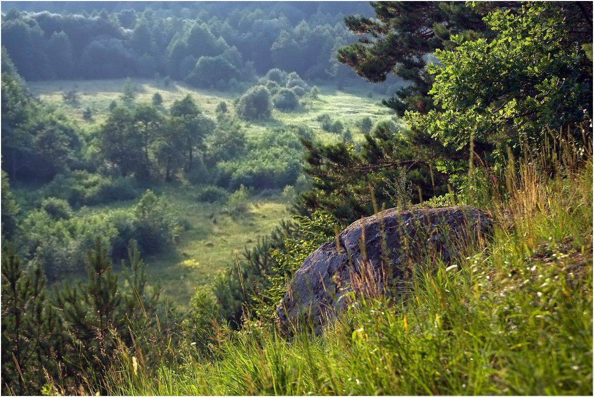 , Николай Шахманцир