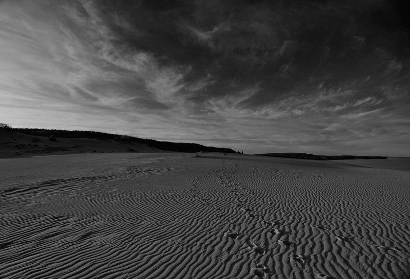 дюны  фото превью