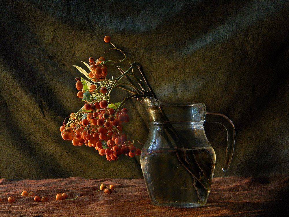 рябина, натюрморт, Юлия Володина