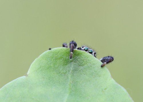 Стесняюсь...