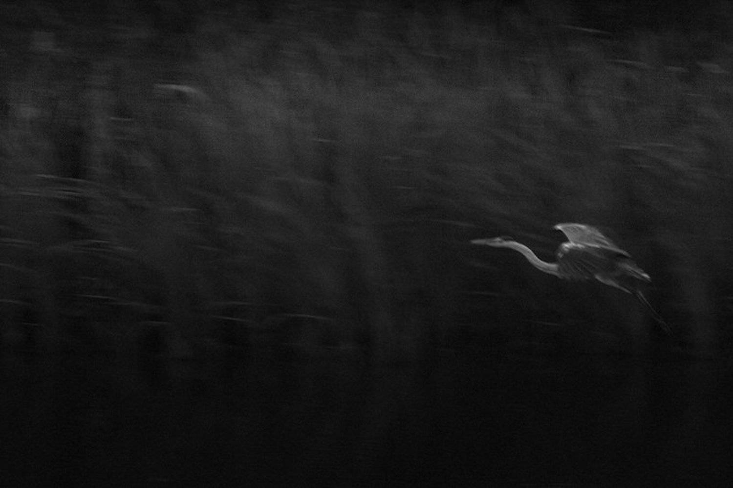 , Анастасия